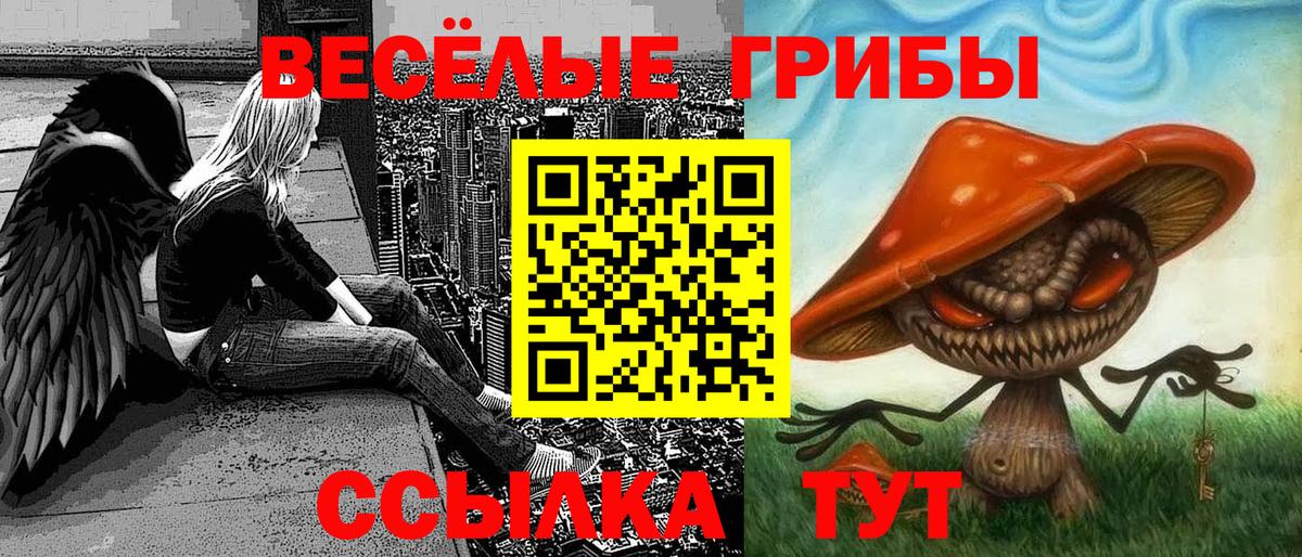Псилоцибиновые грибы ЛСД Гулькевичи